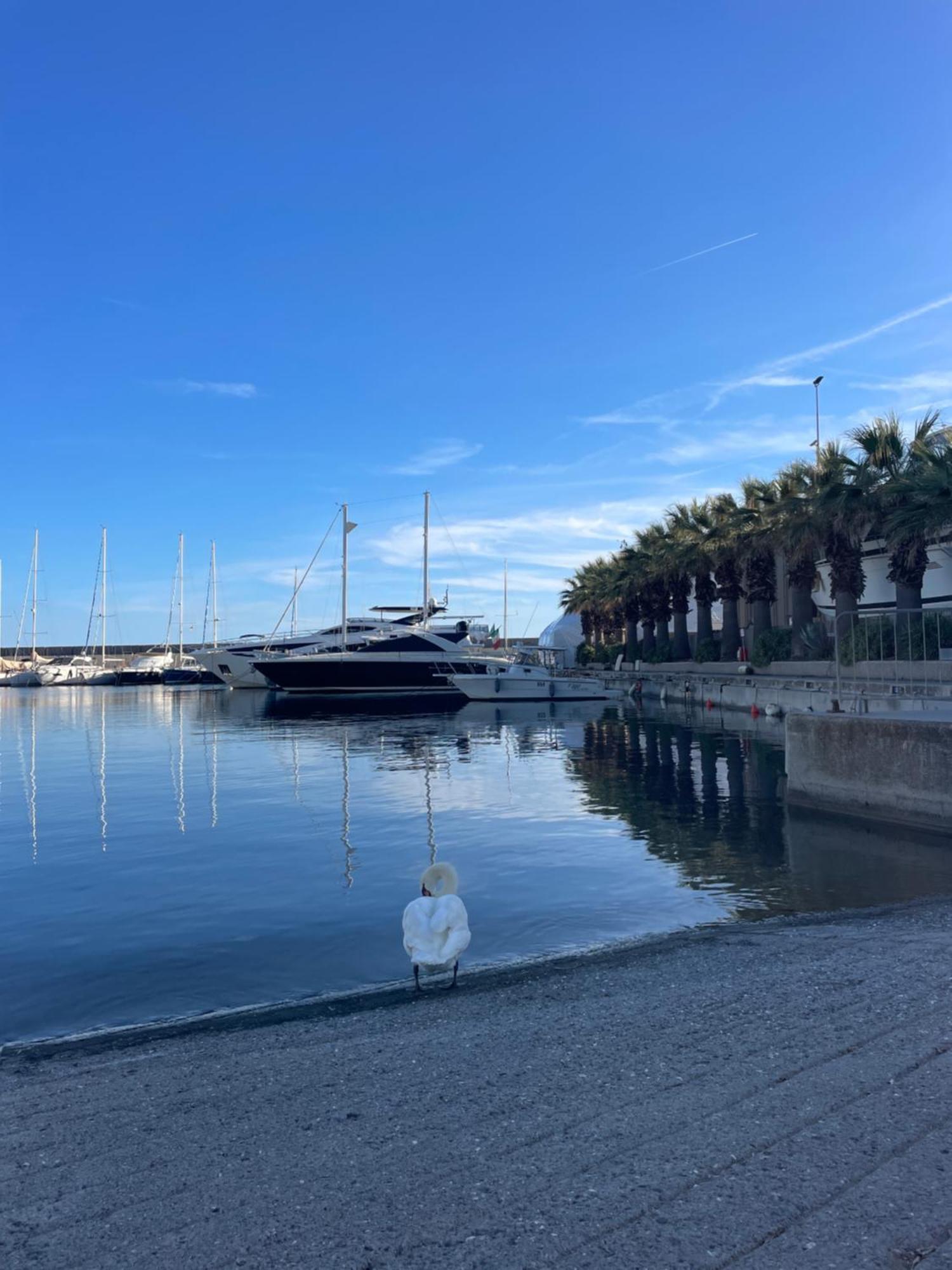 Bistrot del mare Santo Stefano al Mare Exterior foto